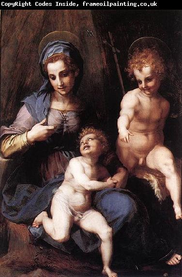Andrea del Sarto Madonna mit Hl Johannes